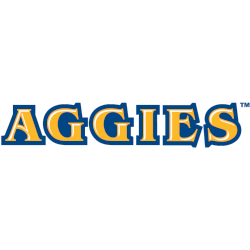 North Carolina A&T Aggies Wordmark Logo 2006 - Present